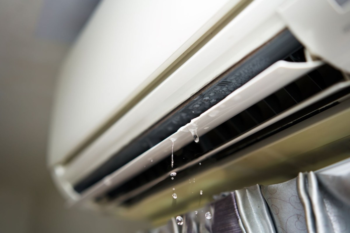 Leaking AC uses to fertilize their plants