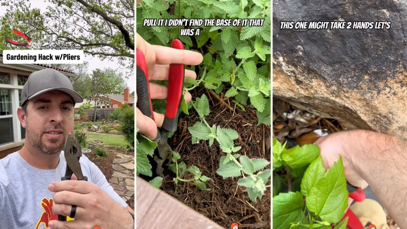 Gardening hack with pliers to root out unwanted plants