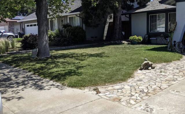 Xeriscaping Grass lawn