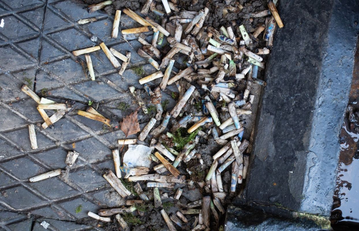 Cigarette filters are toxic to aquatic life