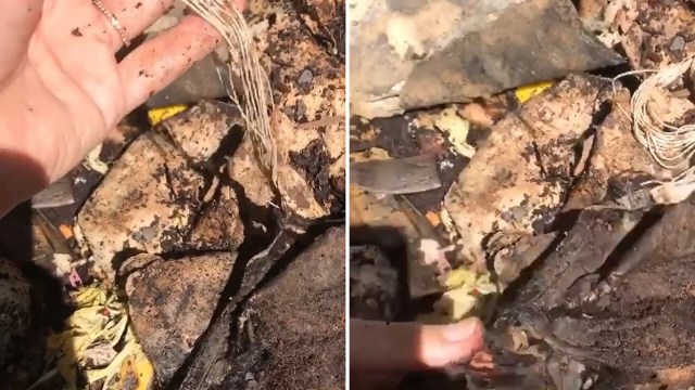 The Very Good fully biodegradable bra