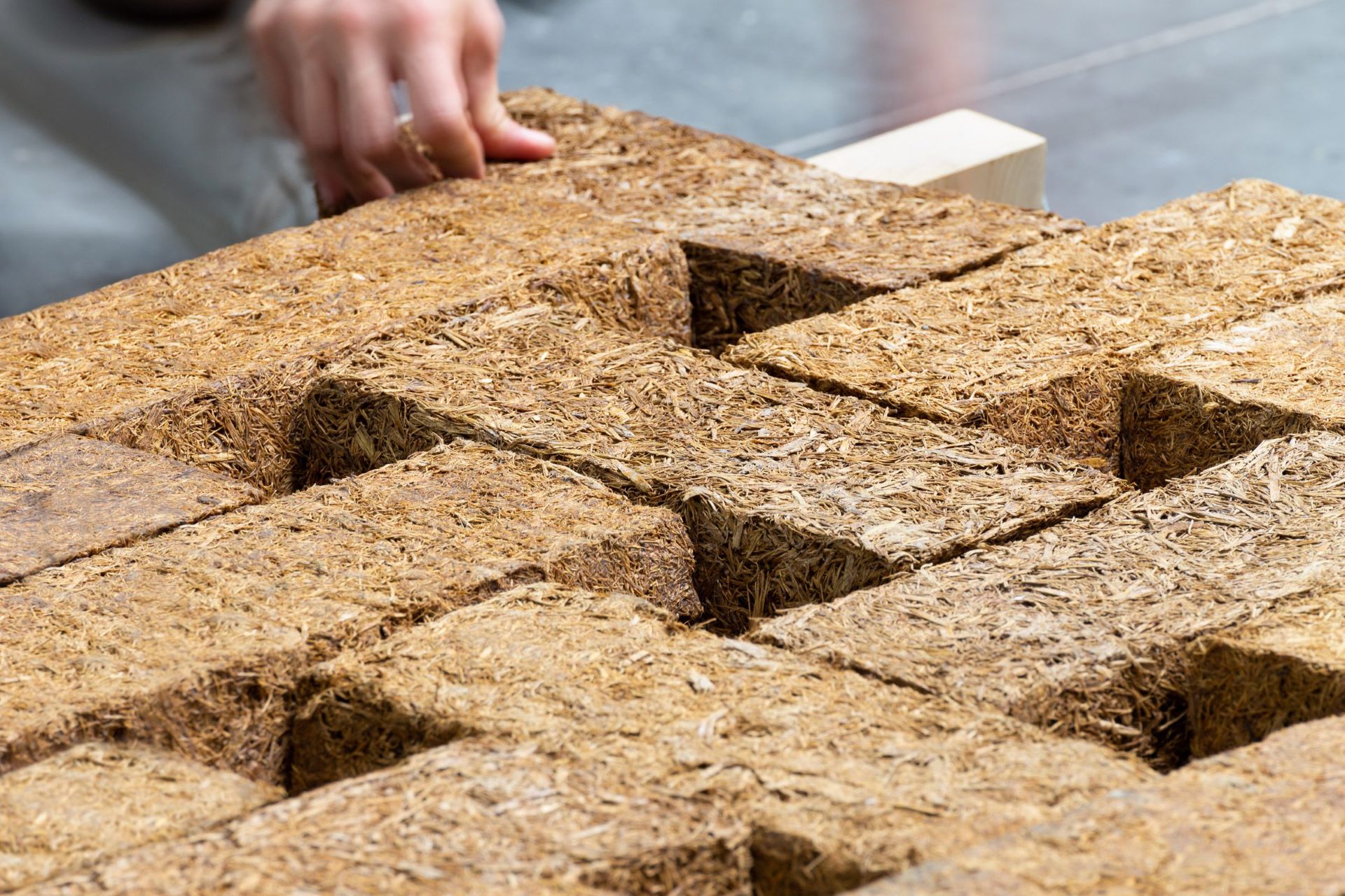 Sugarcrete bricks are made out of sugar cane & cut down on waste