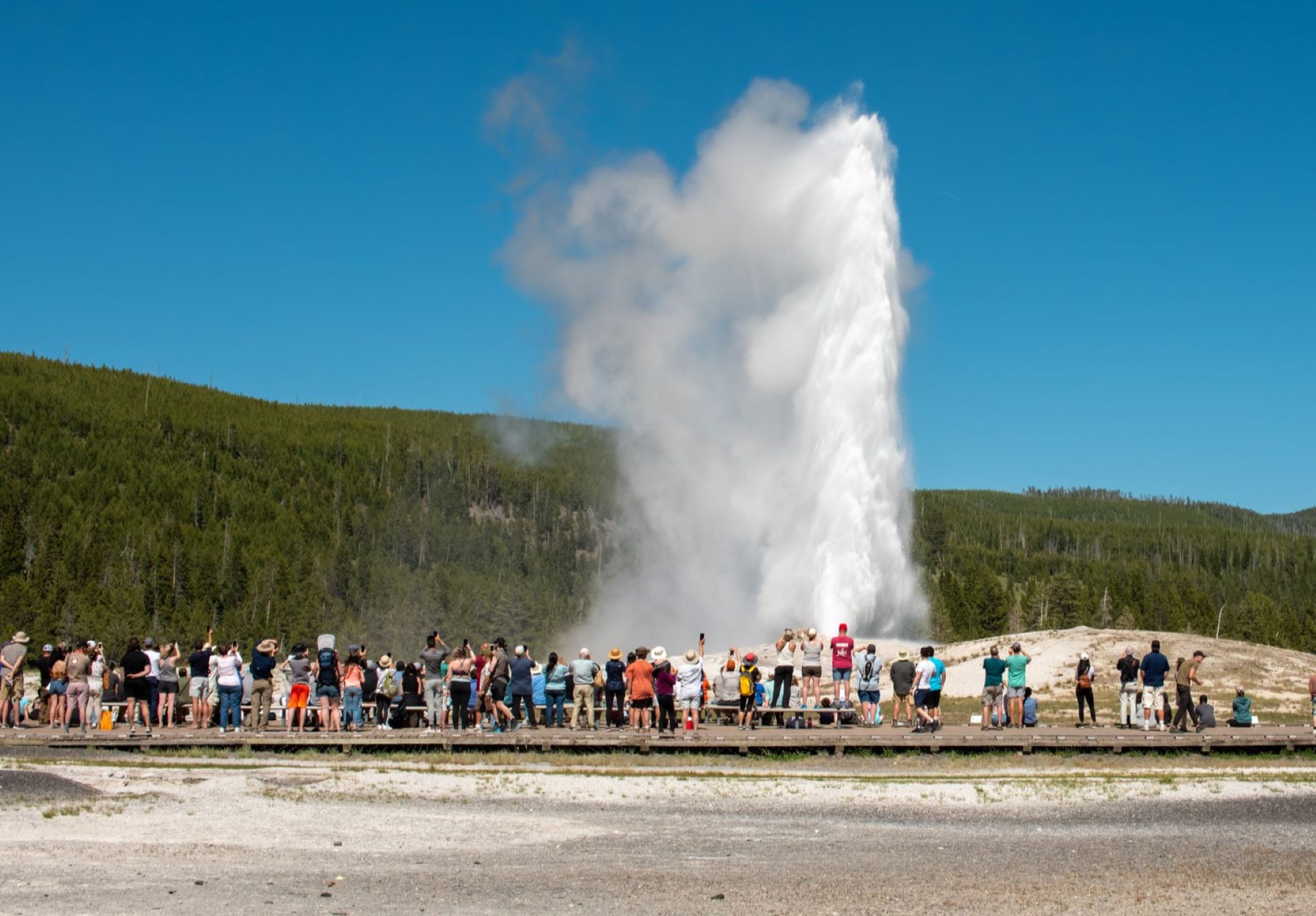 Video shows Yellowstone 'tourons' risking their lives for selfies
