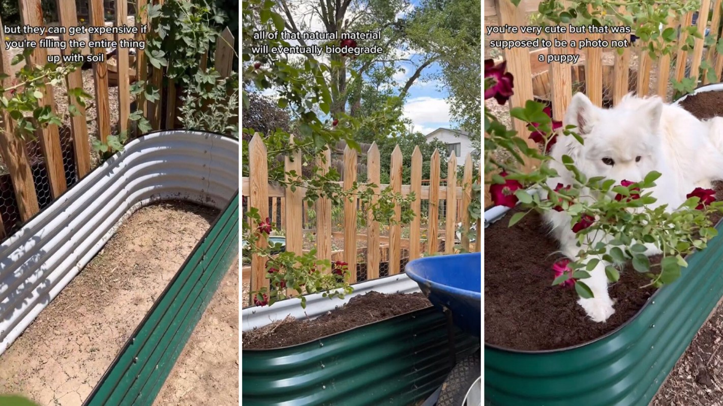 TikToker shares stunning raised garden beds