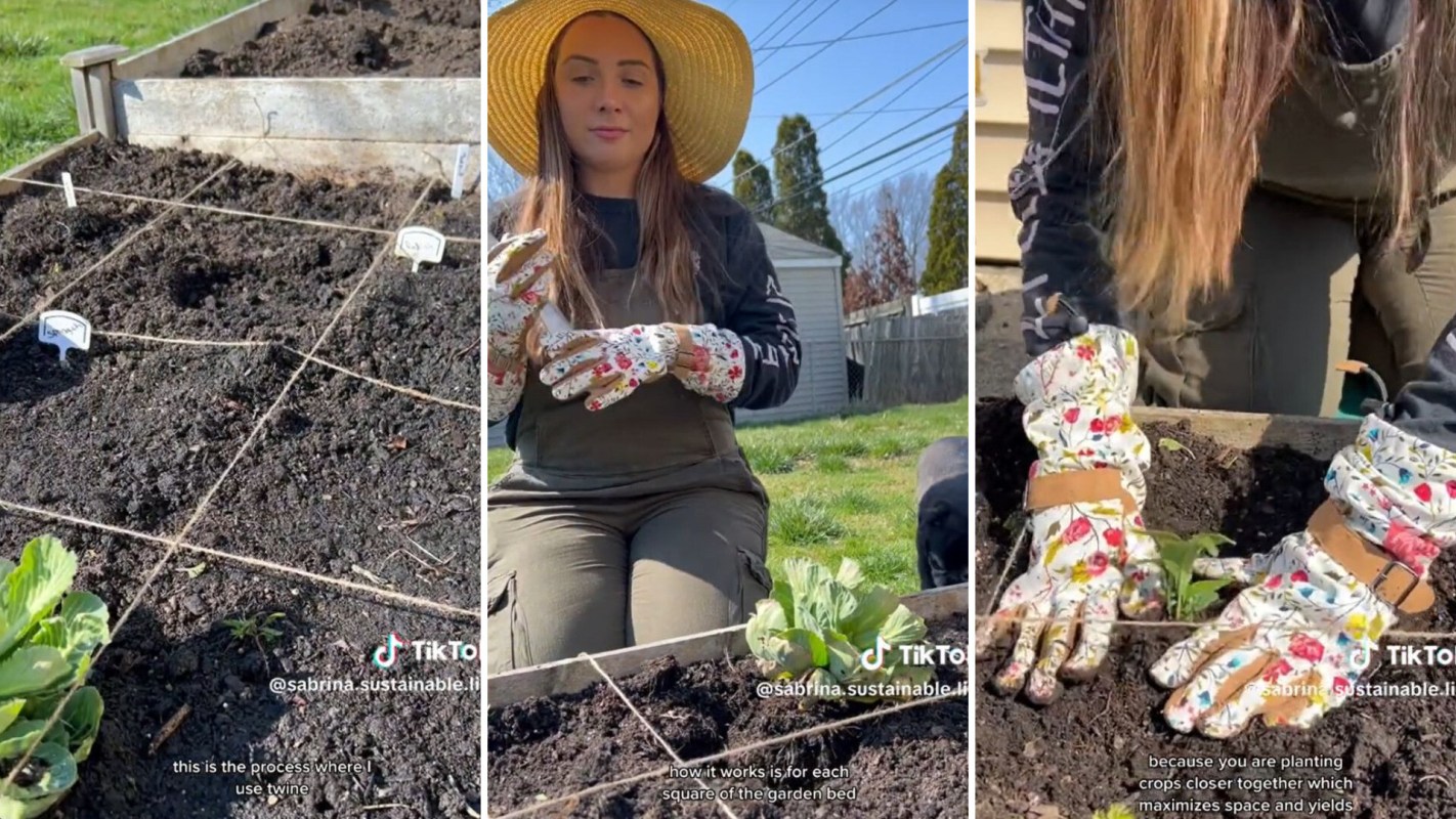 TikToker shares 'square-foot gardening' hack