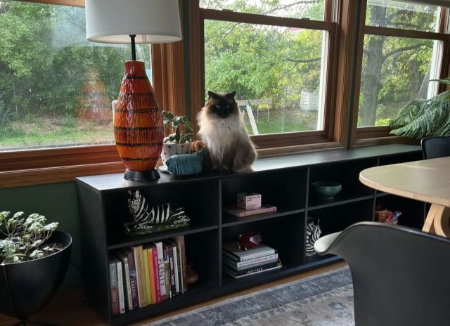 Room & Board bookcase