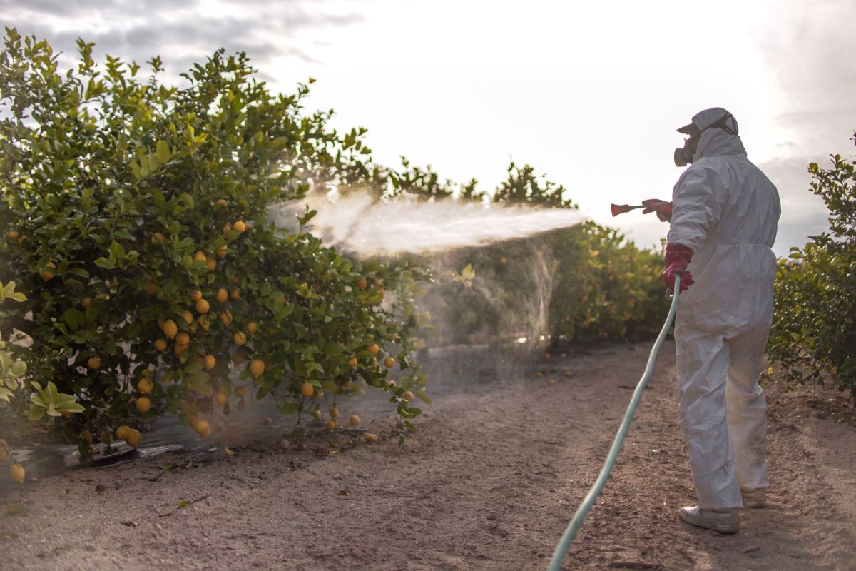 Neonics, toxic pesticide found in 'half the American population