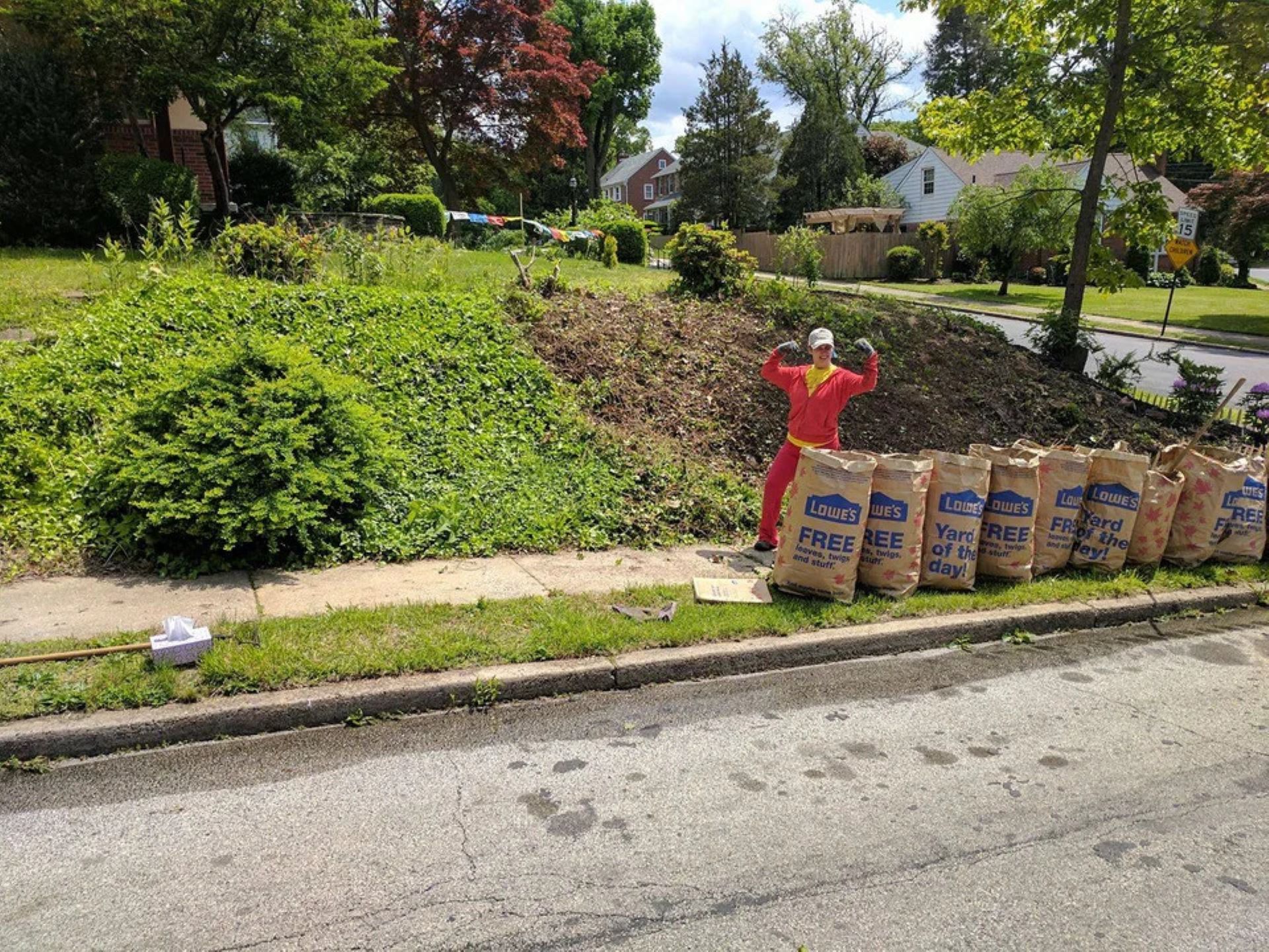 Homeowner shares remarkable beforeandafter photos of their lawn