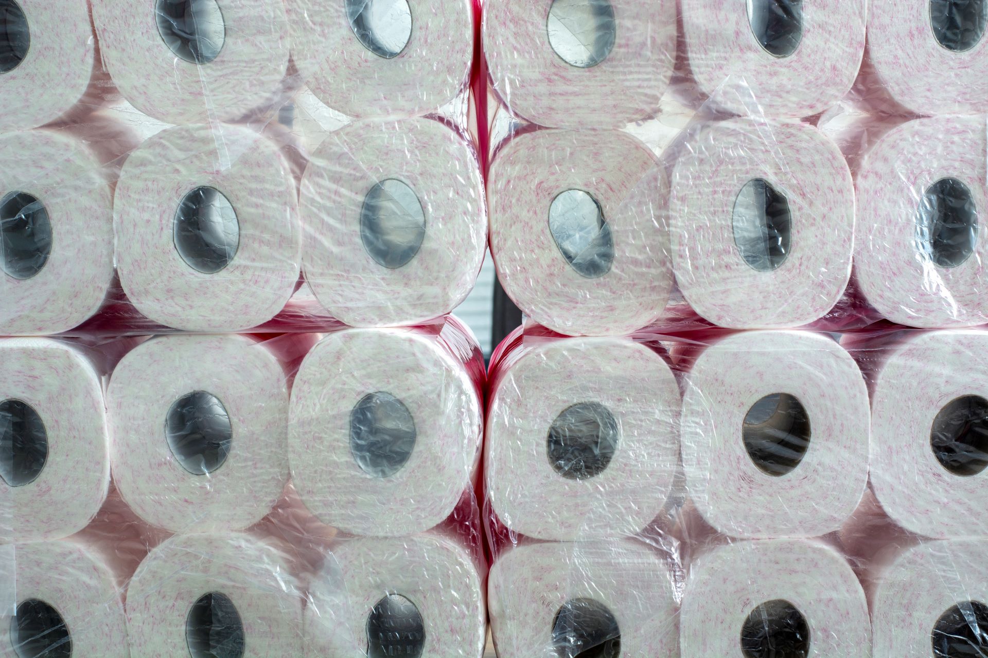 Toilet paper sustainability scorecard ranks paper companies