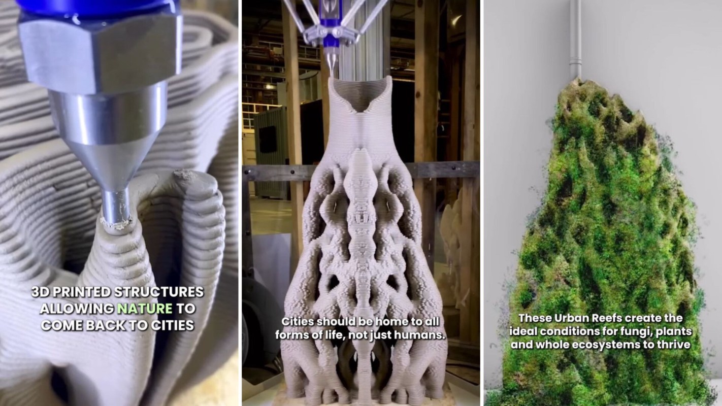 This company creates 3D-printed 'reefs' that bring nature back into cities