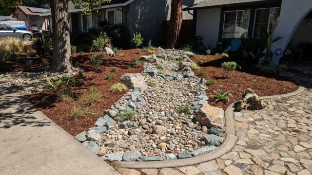 Replacing their grass lawn with a rocky oasis, xeriscaping