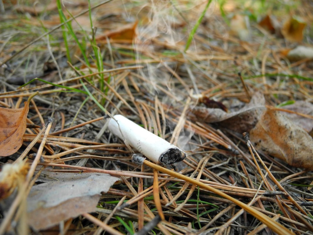 France is banning smoking in and around forests