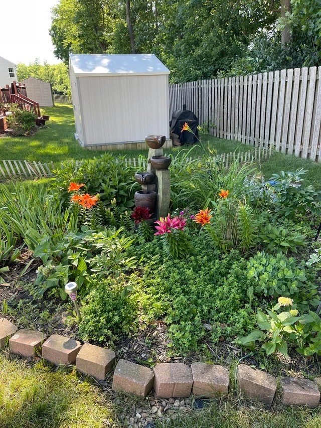 Backyard oasis