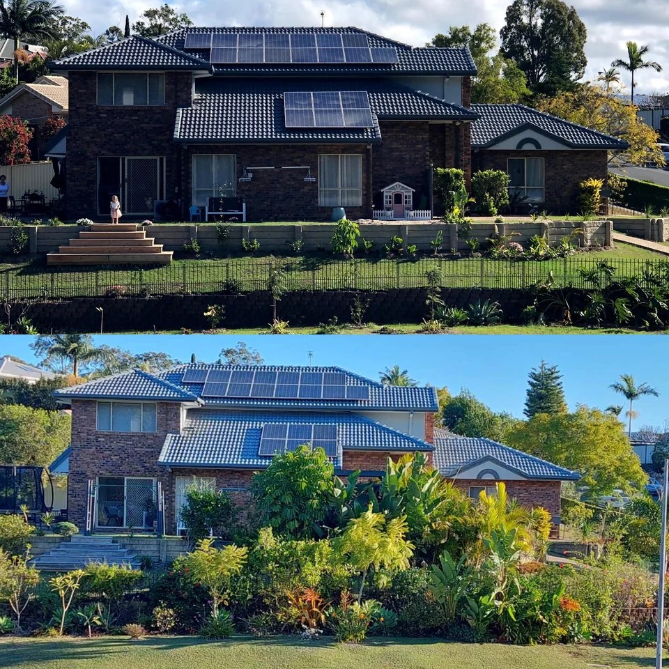Before-and-after photos of their ‘jungle’ lawn transformation