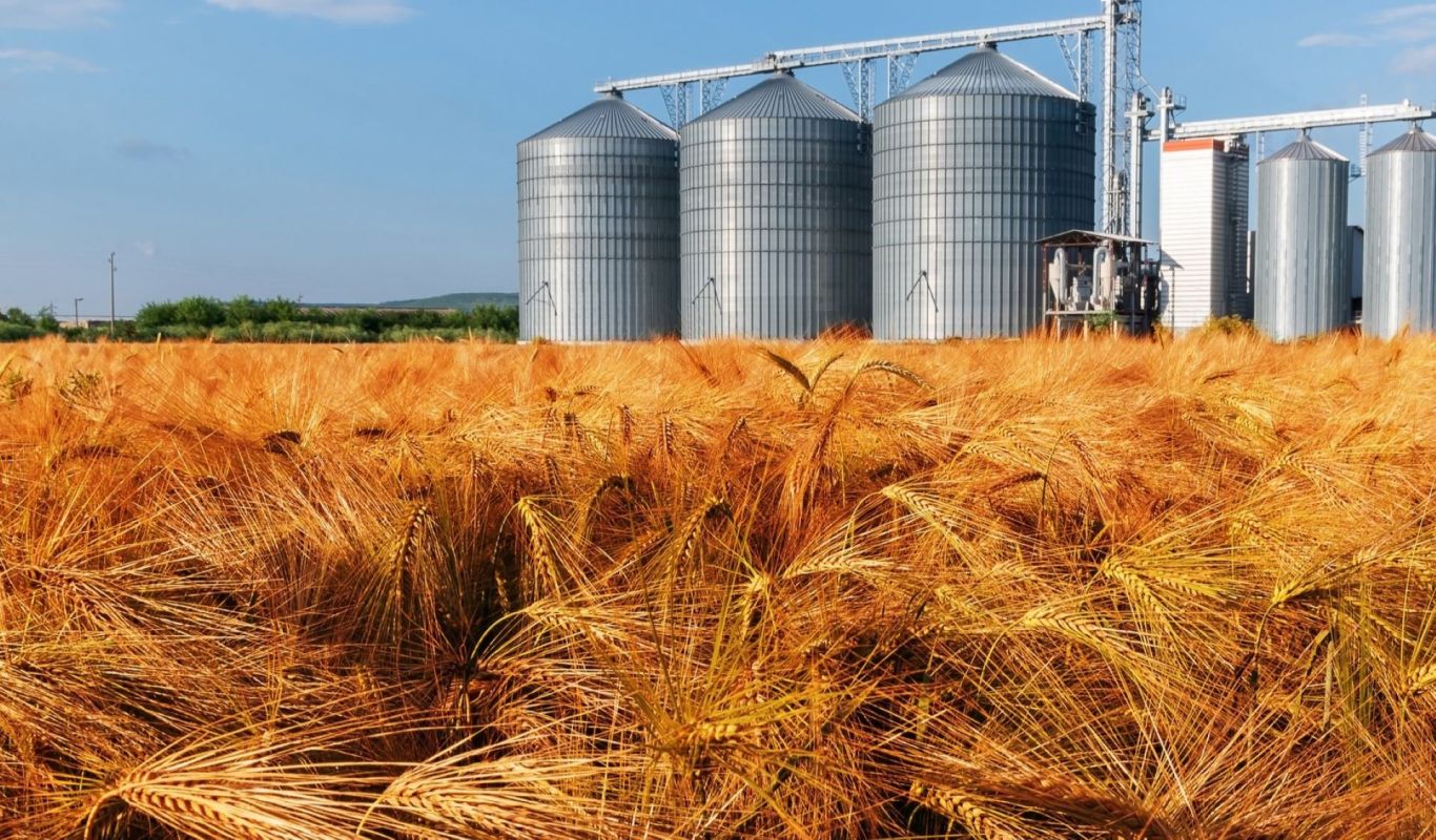 Barley mutation that could save our future food supplies