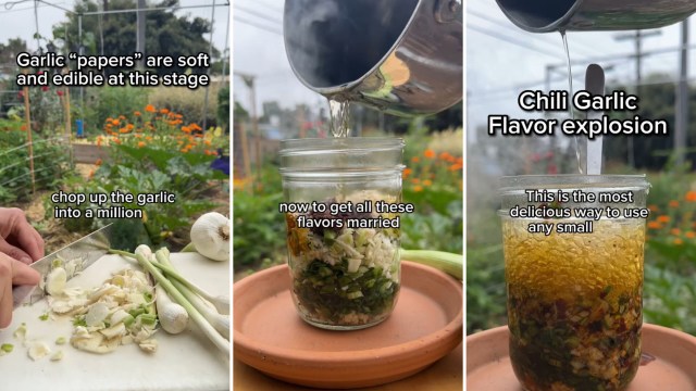 Gardener shares the perfect hack for dealing with 'rusted' garlic cloves
