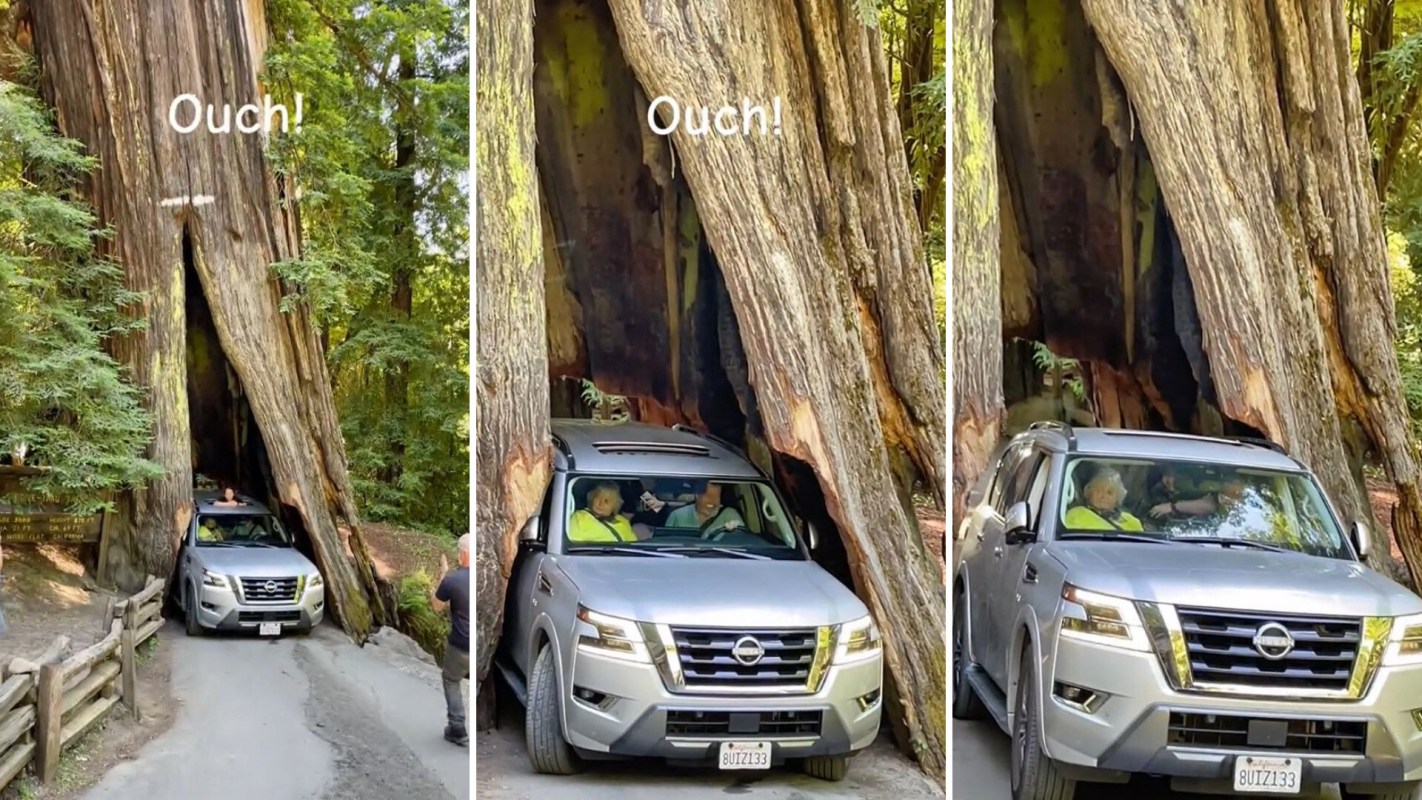Shrine Drive, Attempting to pass through redwood forest sparks outrage
