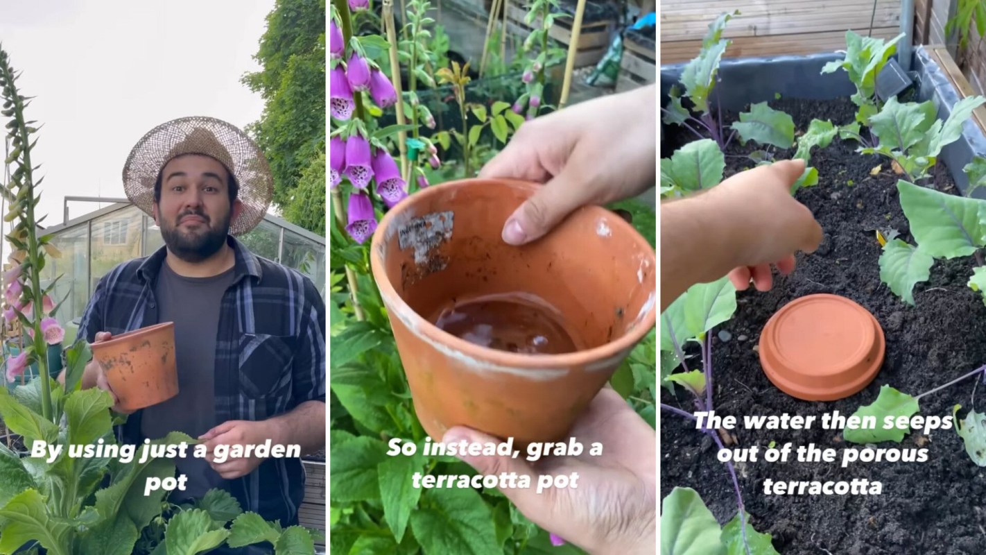 Pro gardener shares 'amazing' watering hack