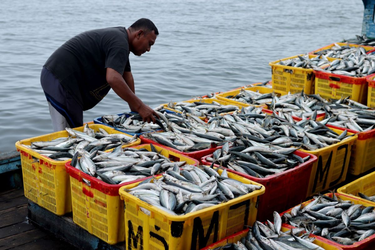 Aquaculture, 90% of ‘blue’ food production is at risk