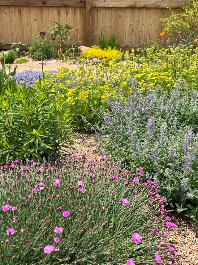 Xeriscape