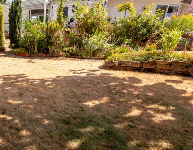 Western U.S banning front lawns for all newly constructed homes