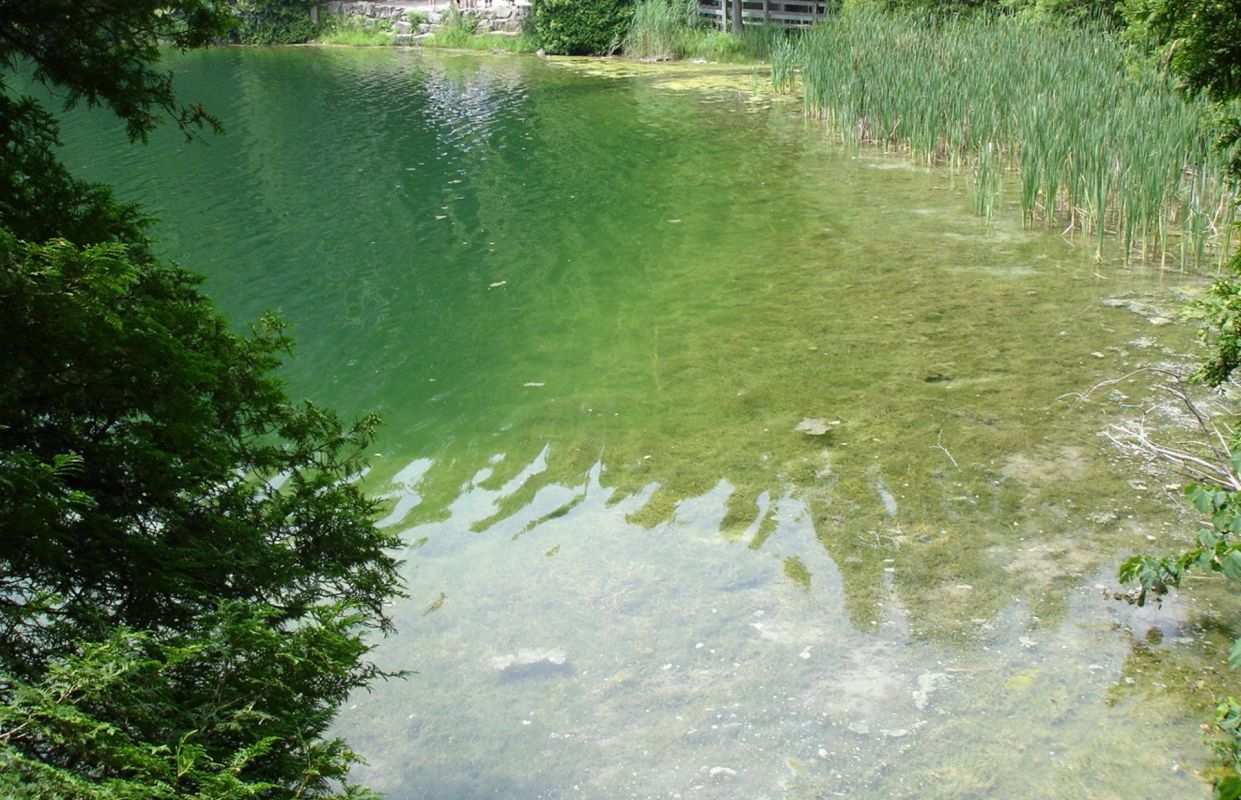 Anthropocene lake, example of humanity's effects on Earth