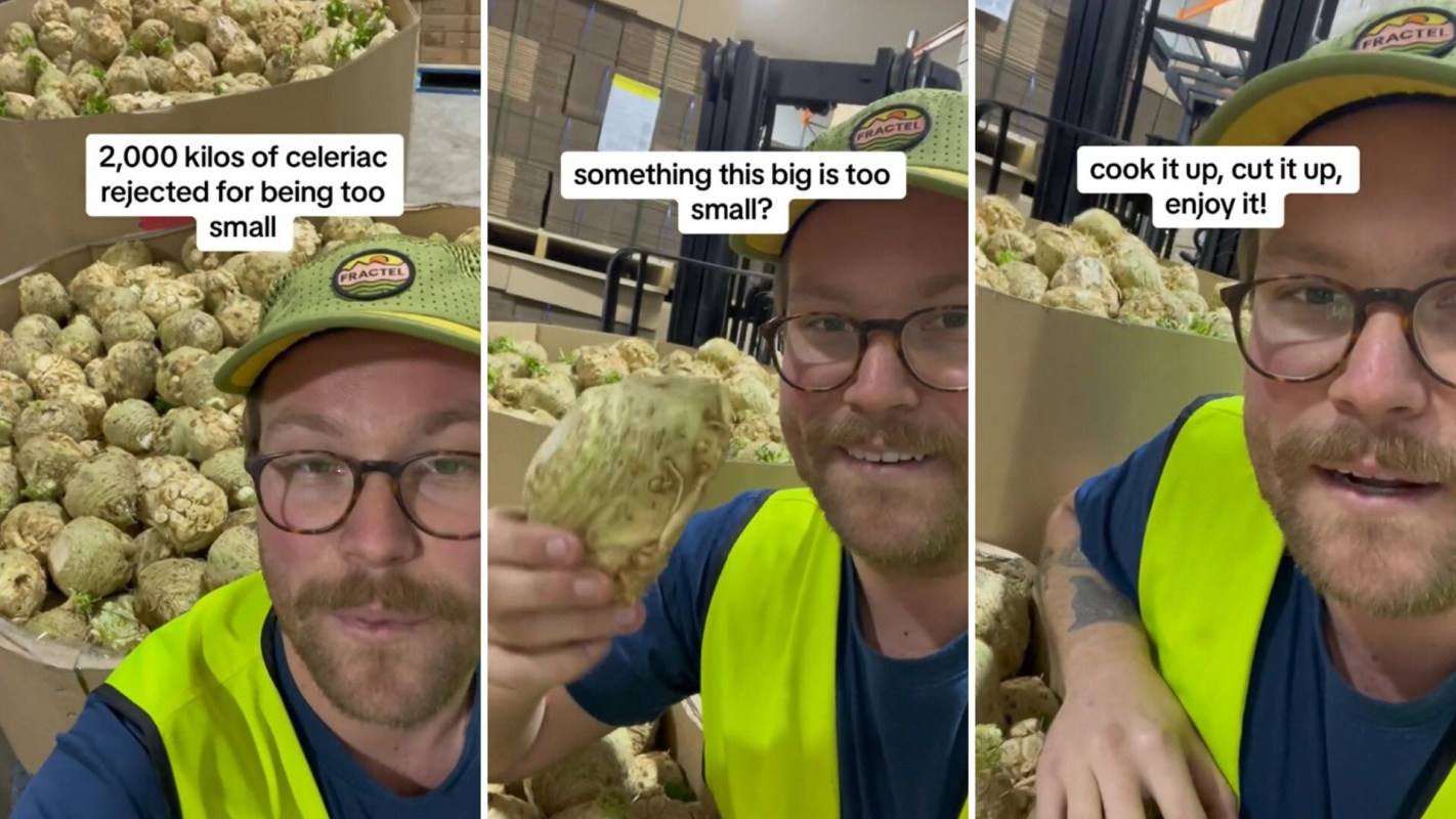 Unfathomable amount of celery root, deemed unfit for sale