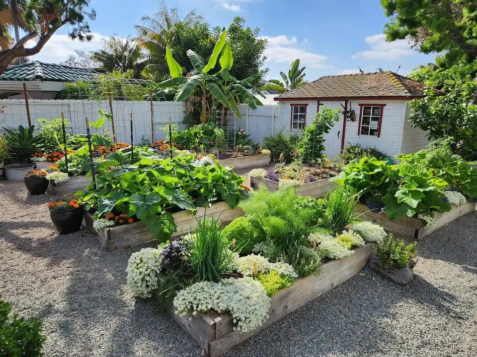Instagram famous chef backyard-garden
