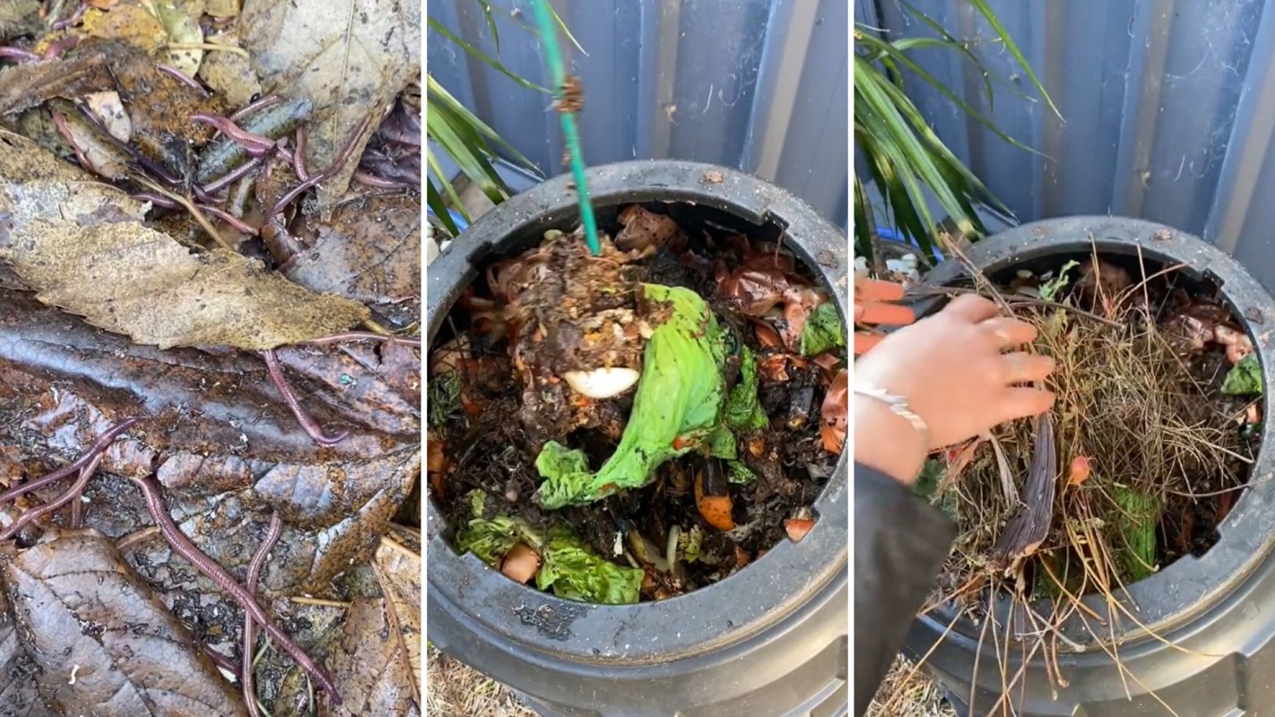 Crucial issue to watch out for when composting