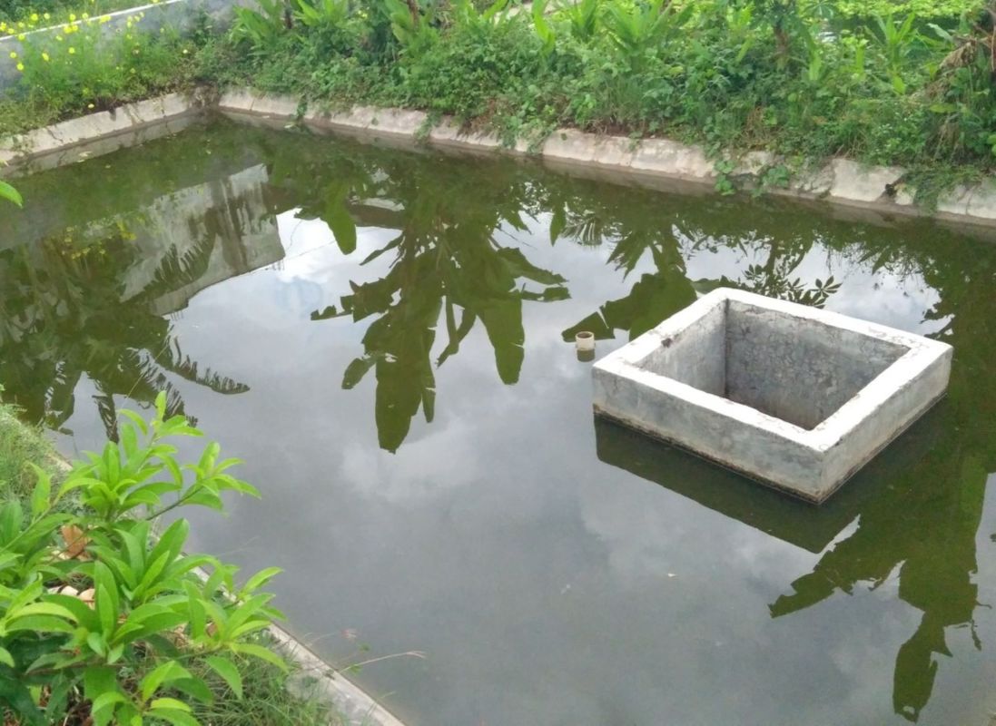 Reusing fish waste to create biogas