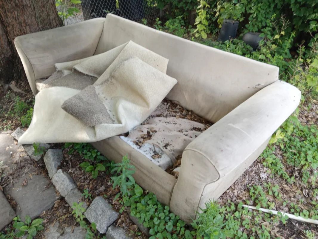 Landlord's son making backyard into a dumping site