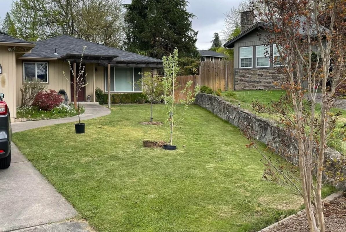 Yard transformation after ripping out all grass and replacing it with stunning landscaping