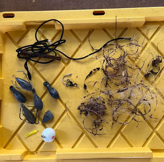 Diver shares photos of ‘horrible’ discovery they made when swimming