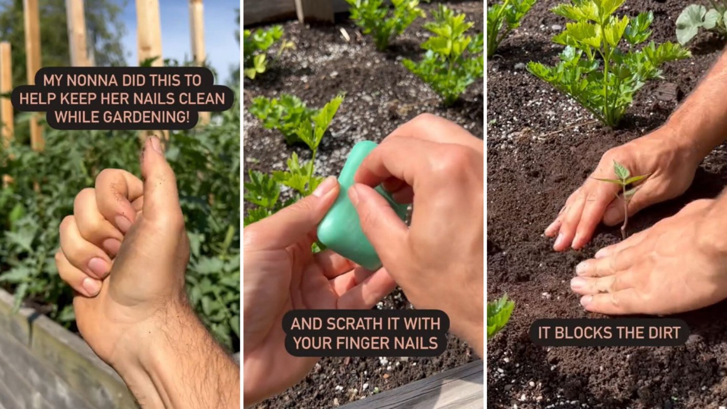 Dirt-free fingernails, Hack for safely handling plants with your bare hands
