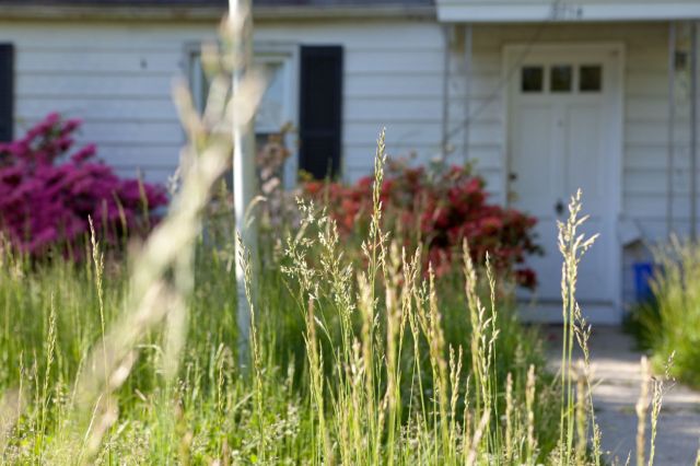 Pond bank receives nasty and threatening letter from neighbor due to their lawn's condition