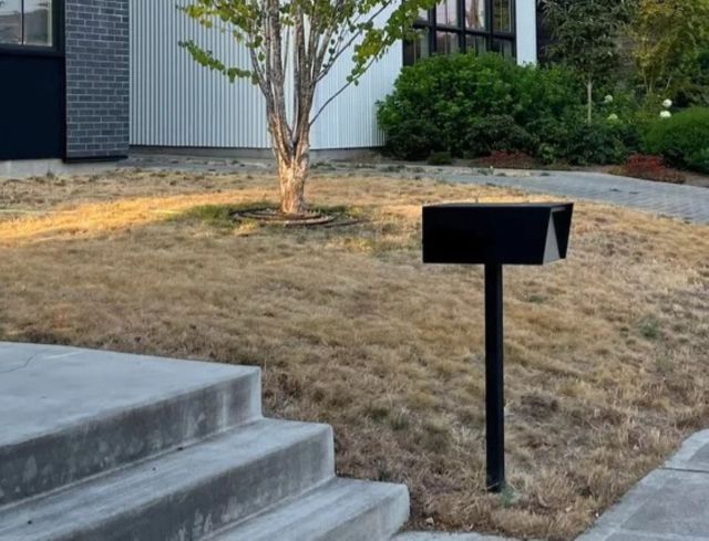 Lawnless front yard, Twin houses