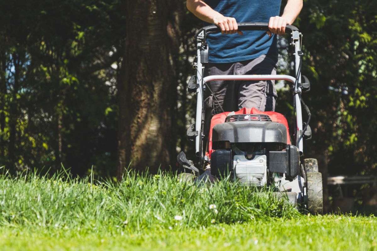 No mow may, Lawn maintenance practices