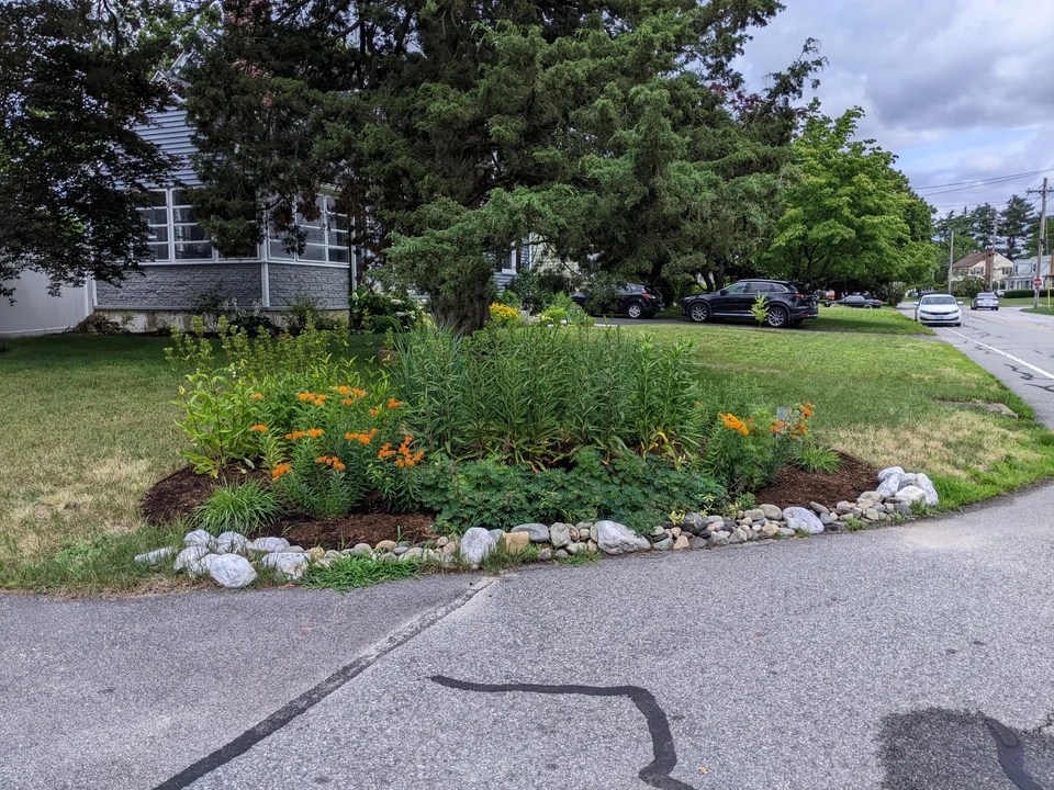 Native plants