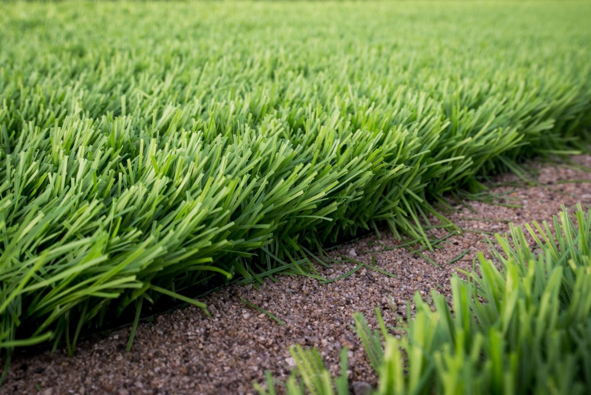 Artificial turf, Alternative to grass