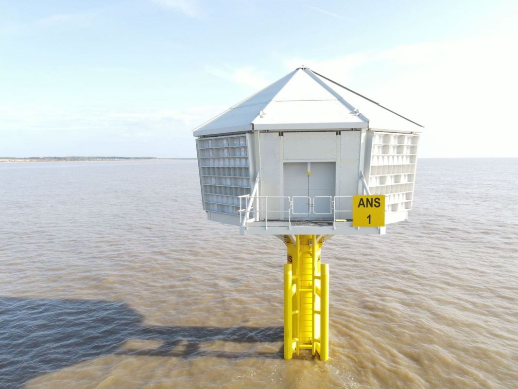 Giant artificial 'bird nests' are being built in the middle of the ocean