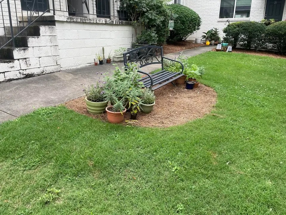 Mini-garden