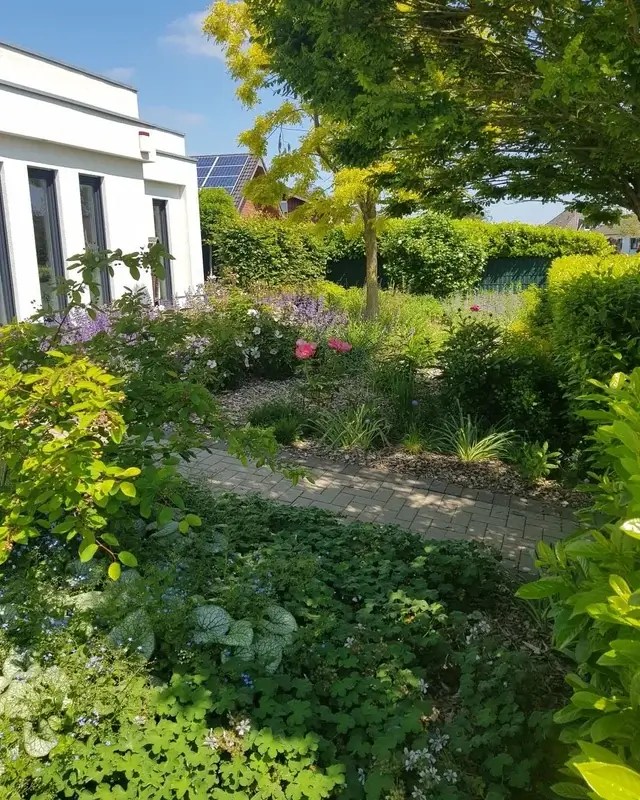 Boring lawn into a colorful garden