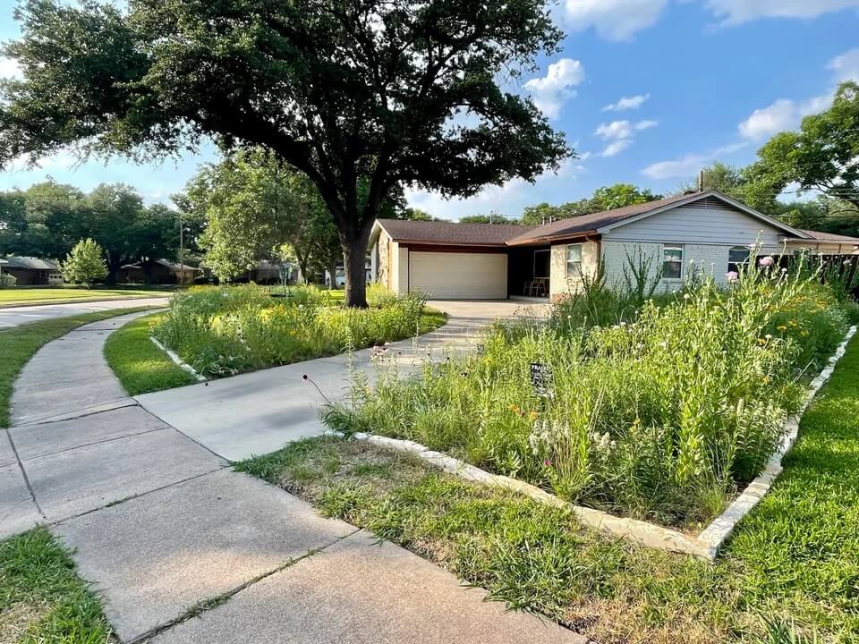 Earth-friendly lawn