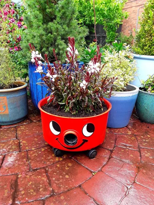 old vacuum into an 'adorable' planter