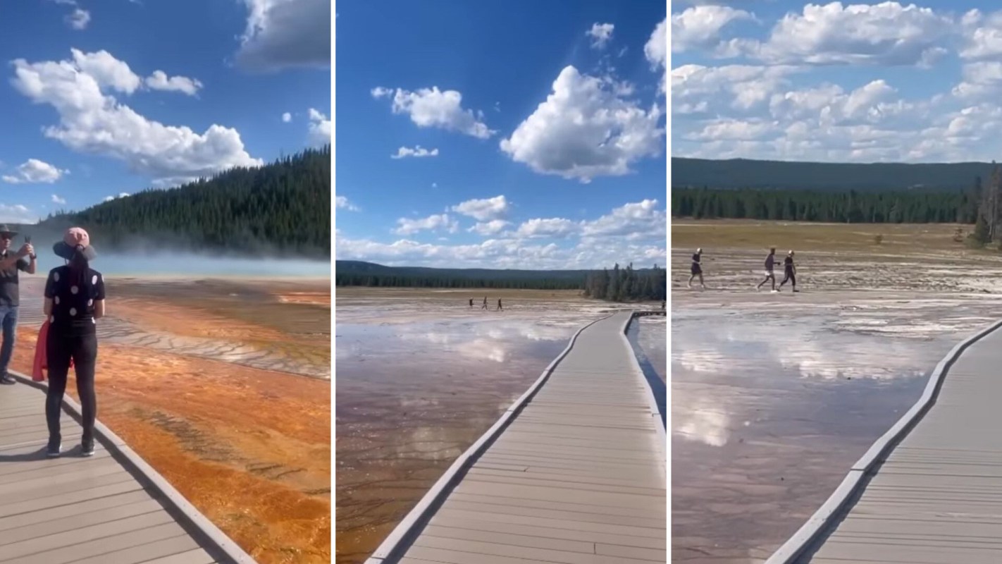 obnoxious behavior from tourists at Yellowstone Park
