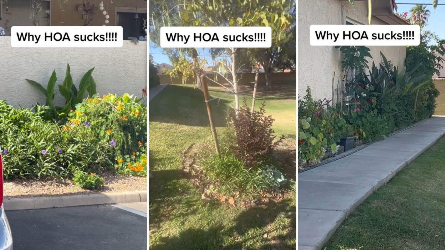 Losing plants, HOA over fines for neighborhood garden