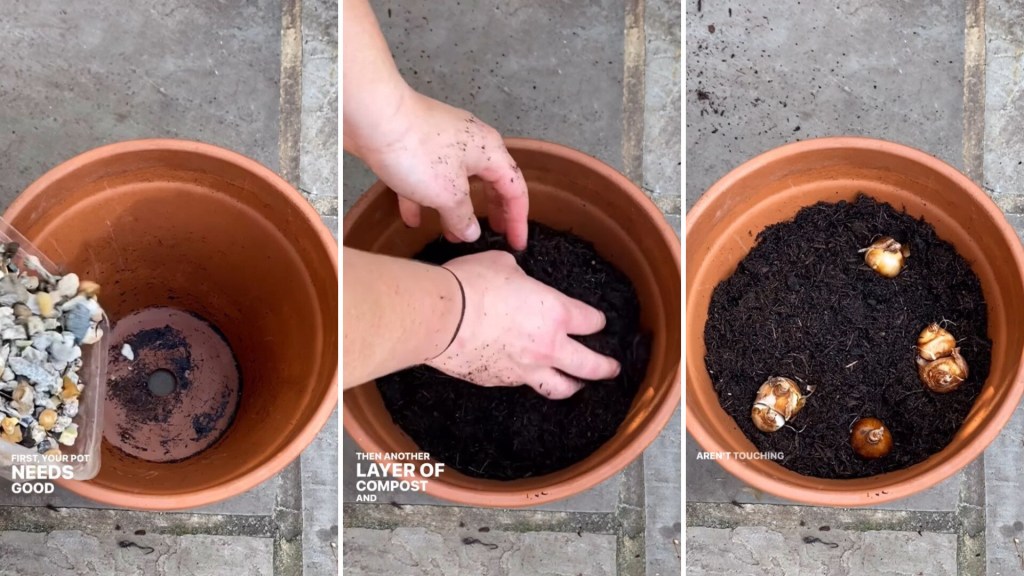 How to COMPOST in a FLOWERPOT 