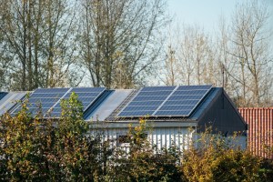Rosalind Carr, HOA penalizes homeowner for solar panels
