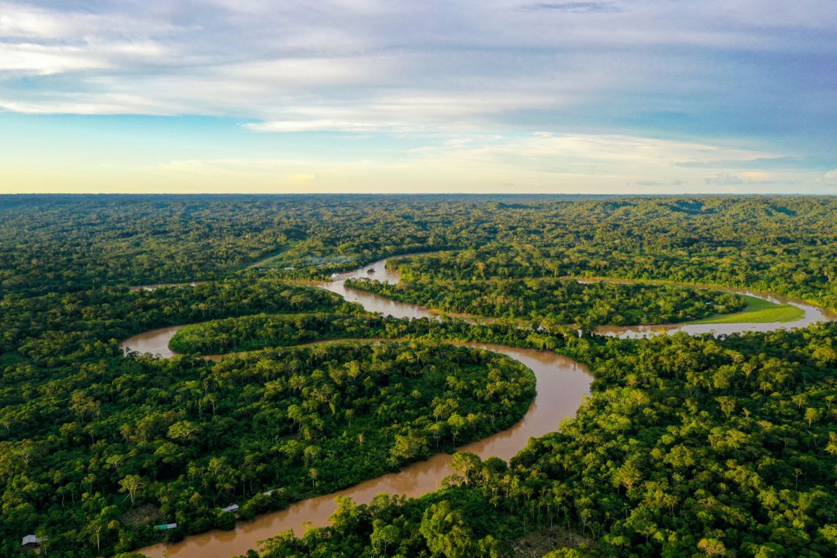 A 'cocaine warlord' is fighting to protect massive swaths of the Amazon rainforest