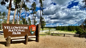 'Unbelievable' entitled visitor at Yellowstone National Park sparks outrage online